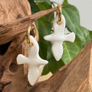 favori solene oiseau