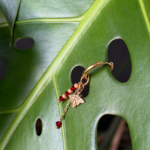 creoles abeilles grenat diré