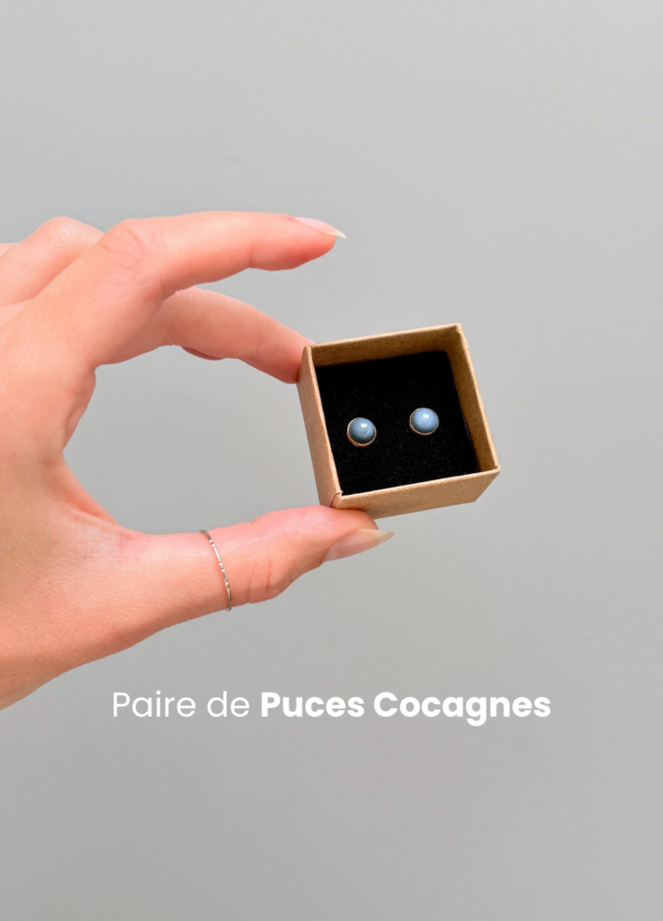 paire de puce boule de cocagne waide